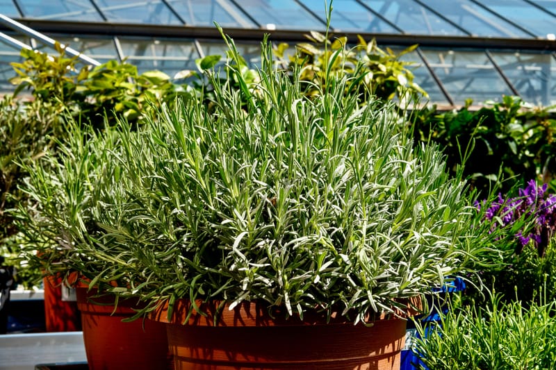 Aktuelle Bilder zum Saisonstart