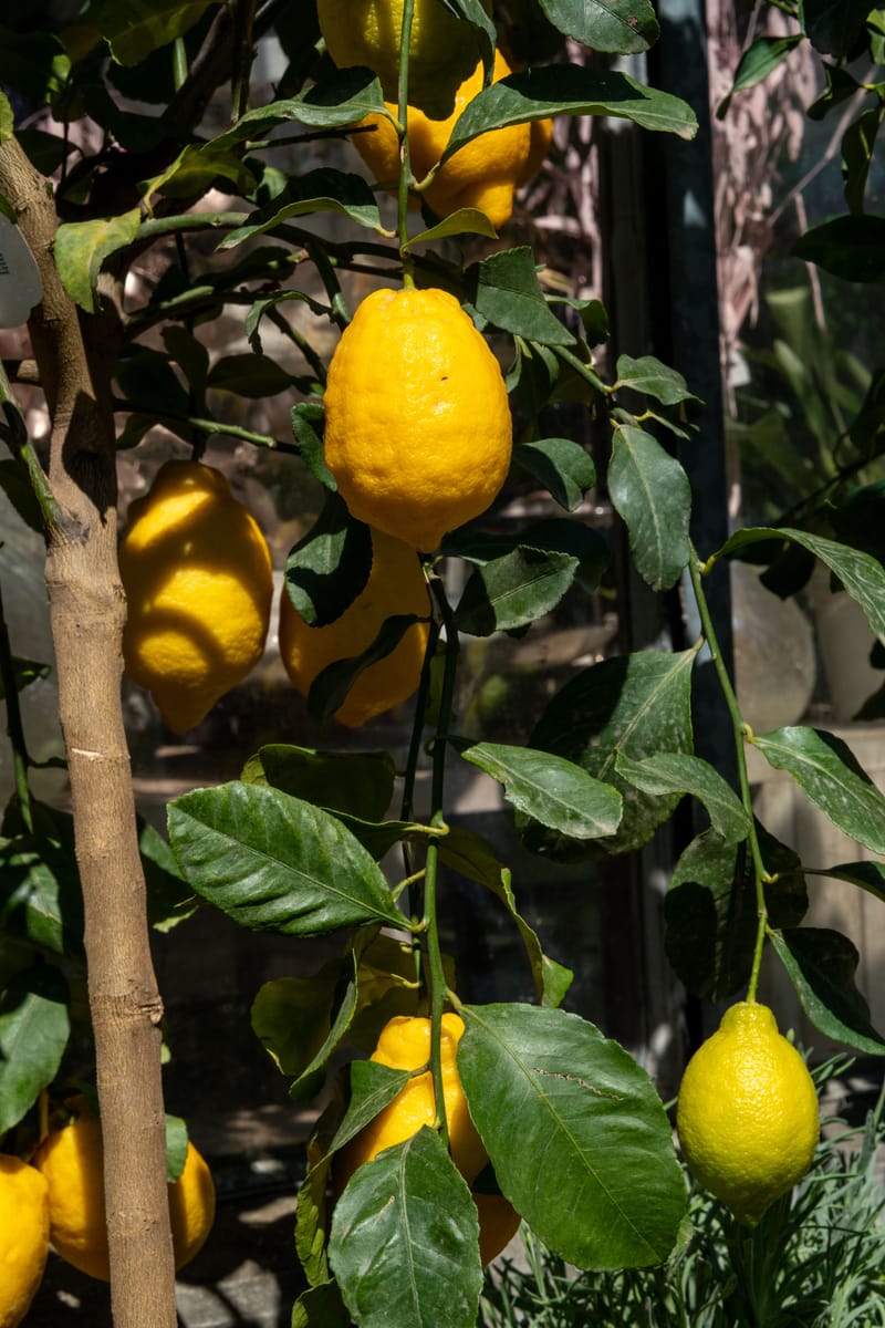 Aktuelle Bilder zum Saisonstart