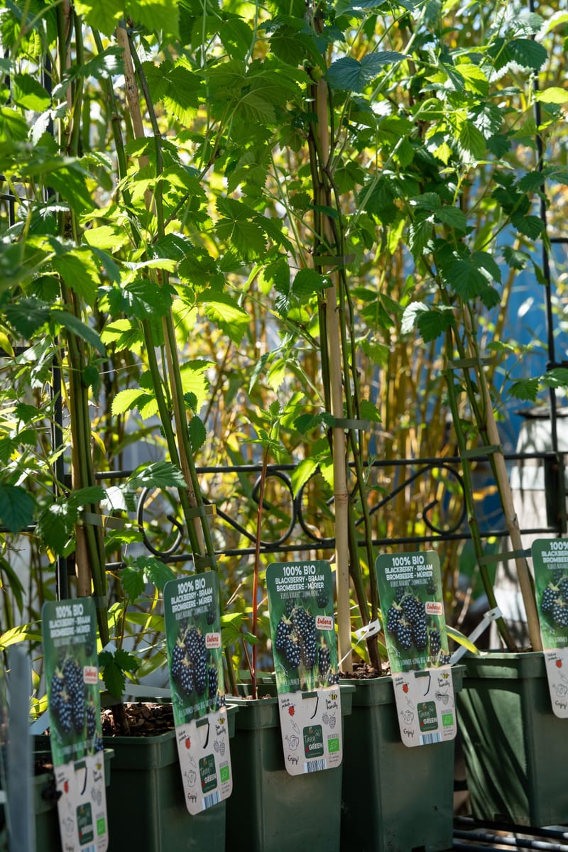 Aktuelle Bilder zum Saisonstart