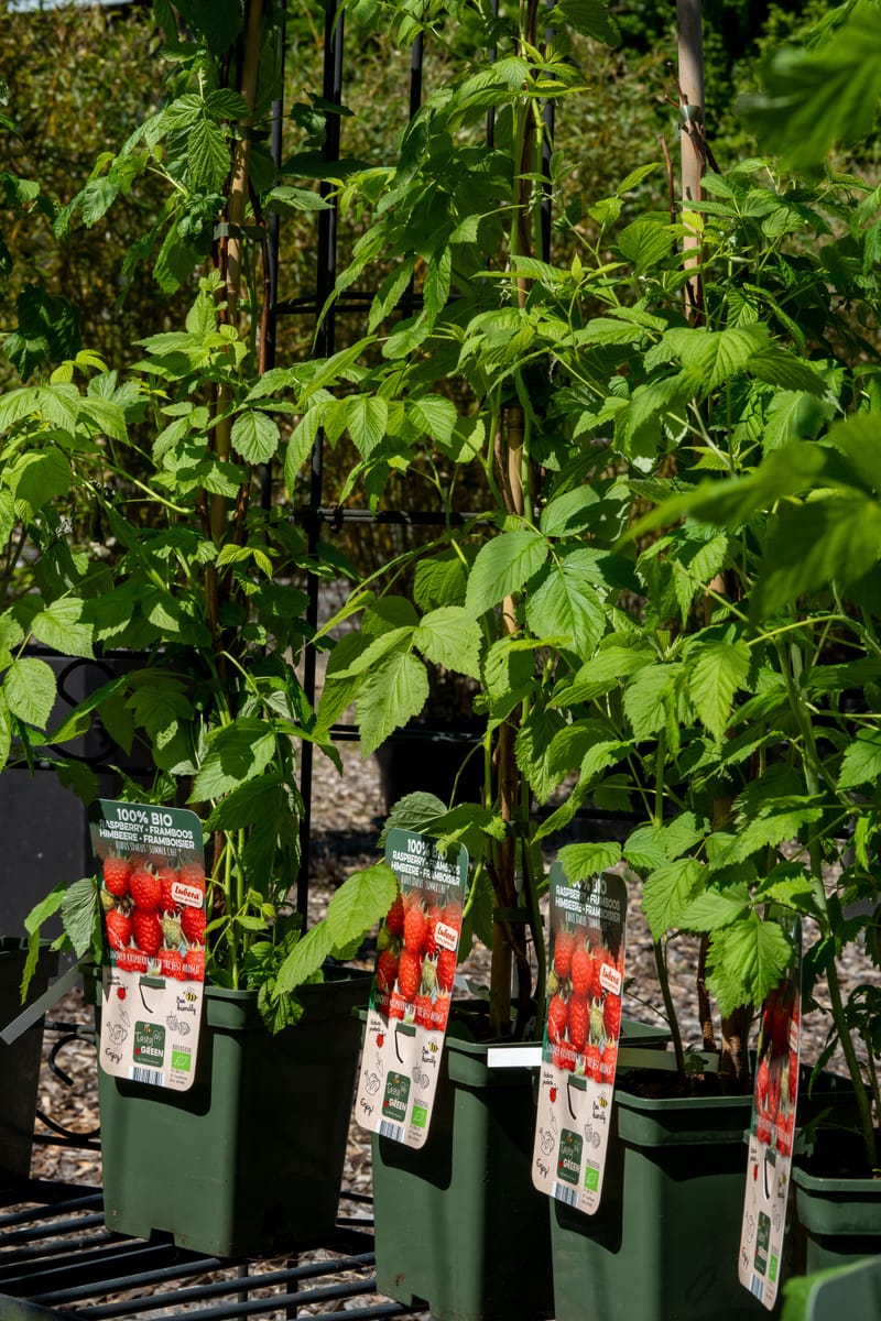 Aktuelle Bilder zum Saisonstart