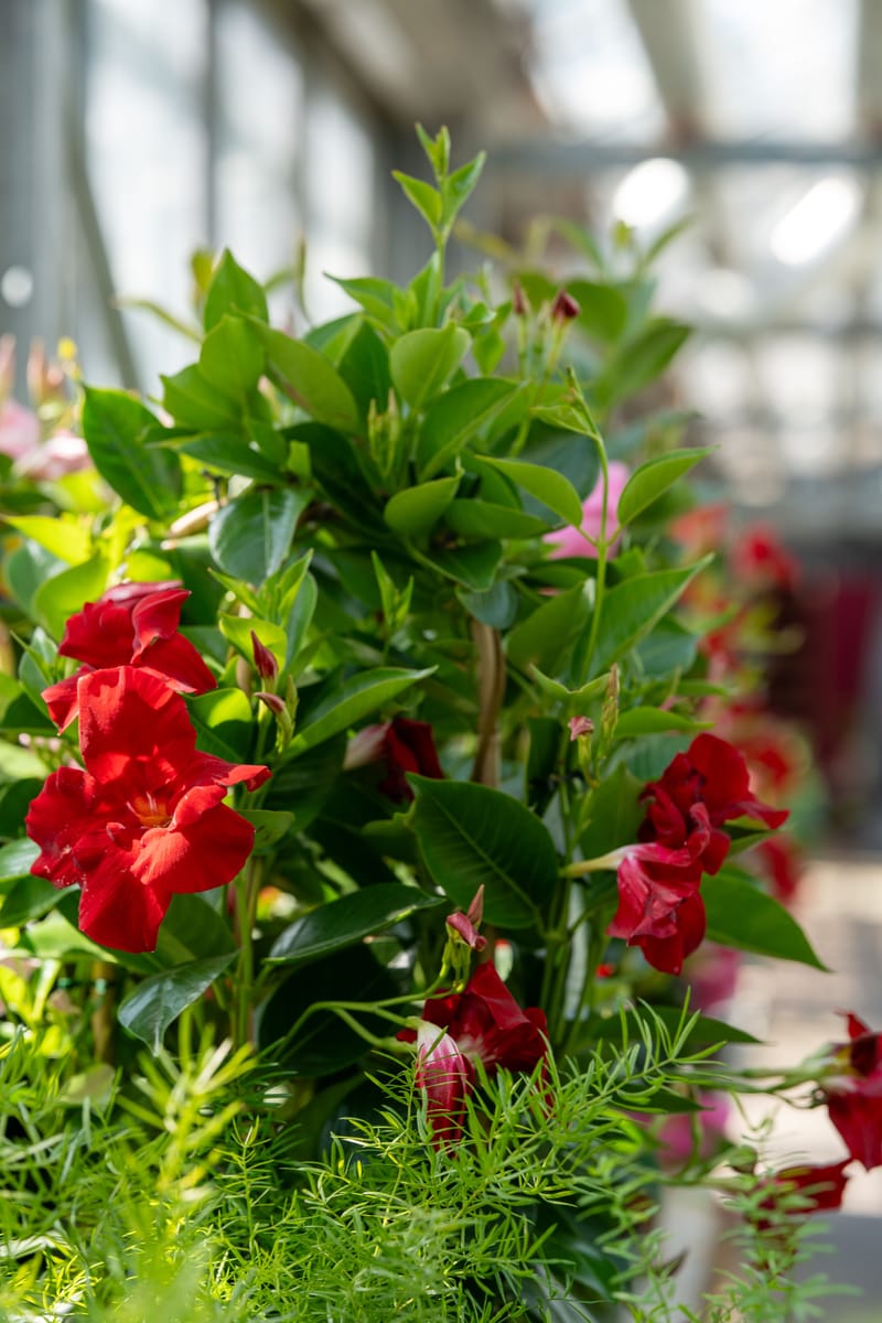 Aktuelle Bilder zum Saisonstart