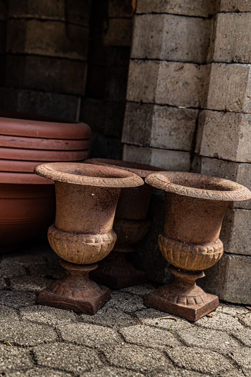 Aktuelle Bilder zum Saisonstart