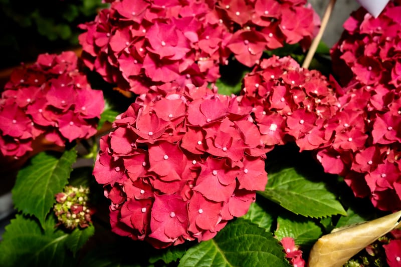 Aktuelle Bilder zum Saisonstart