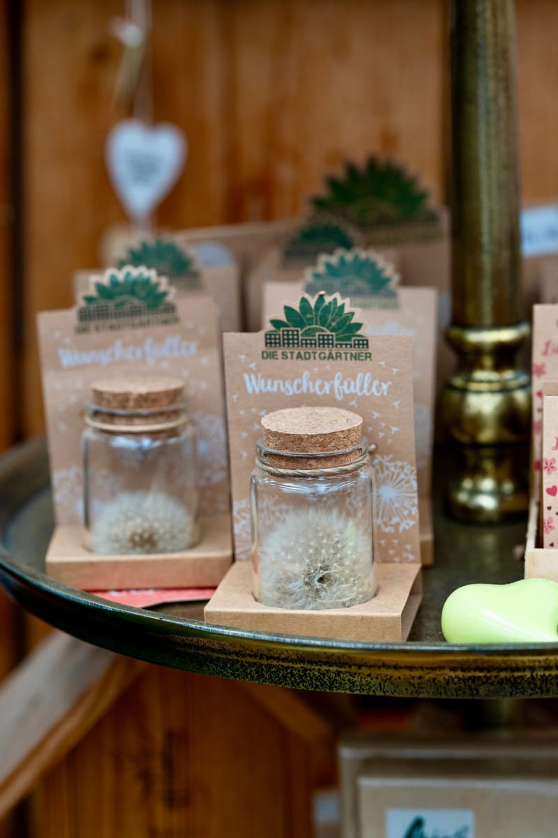 Bilder aus dem Laden an der Paradiesstrasse 