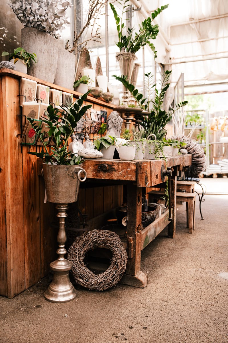 Bilder aus dem Laden an der Paradiesstrasse 