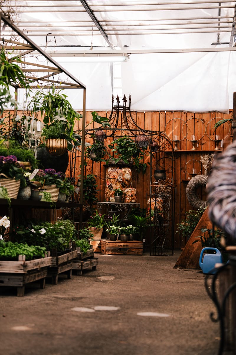 Bilder aus dem Laden an der Paradiesstrasse 