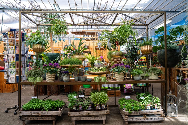 Bilder aus dem Laden an der Paradiesstrasse 