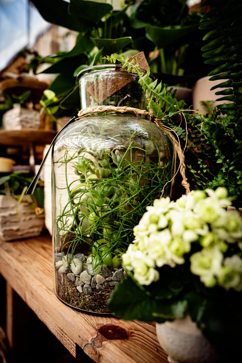 Bilder aus dem Laden an der Paradiesstrasse 