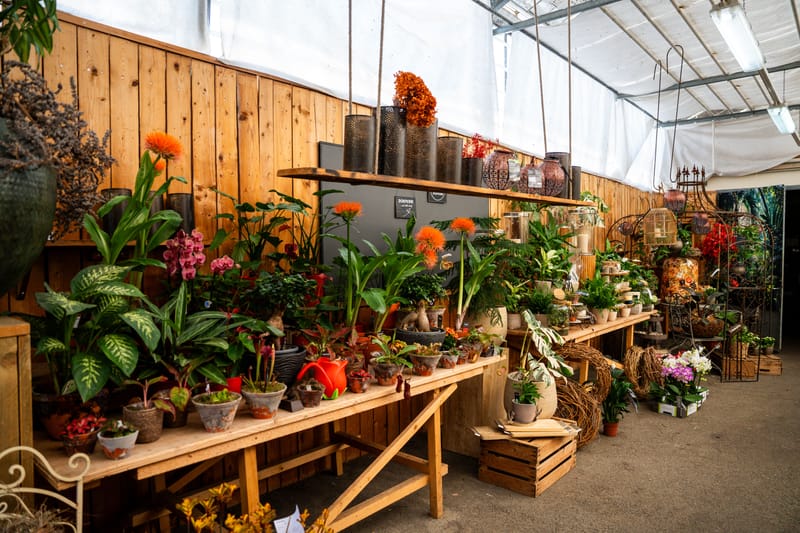 Bilder aus dem Laden an der Paradiesstrasse 