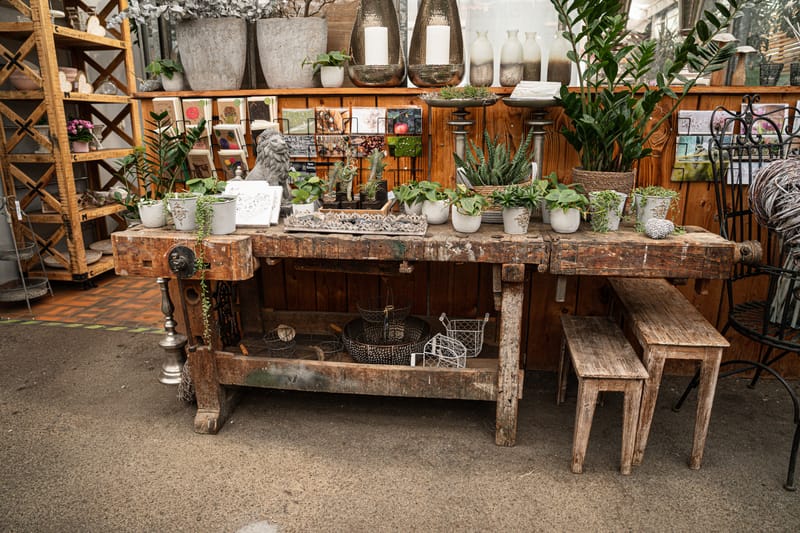 Bilder aus dem Laden an der Paradiesstrasse 