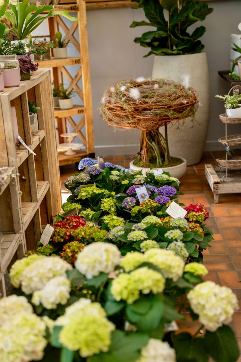 Bilder aus dem Laden an der Paradiesstrasse 