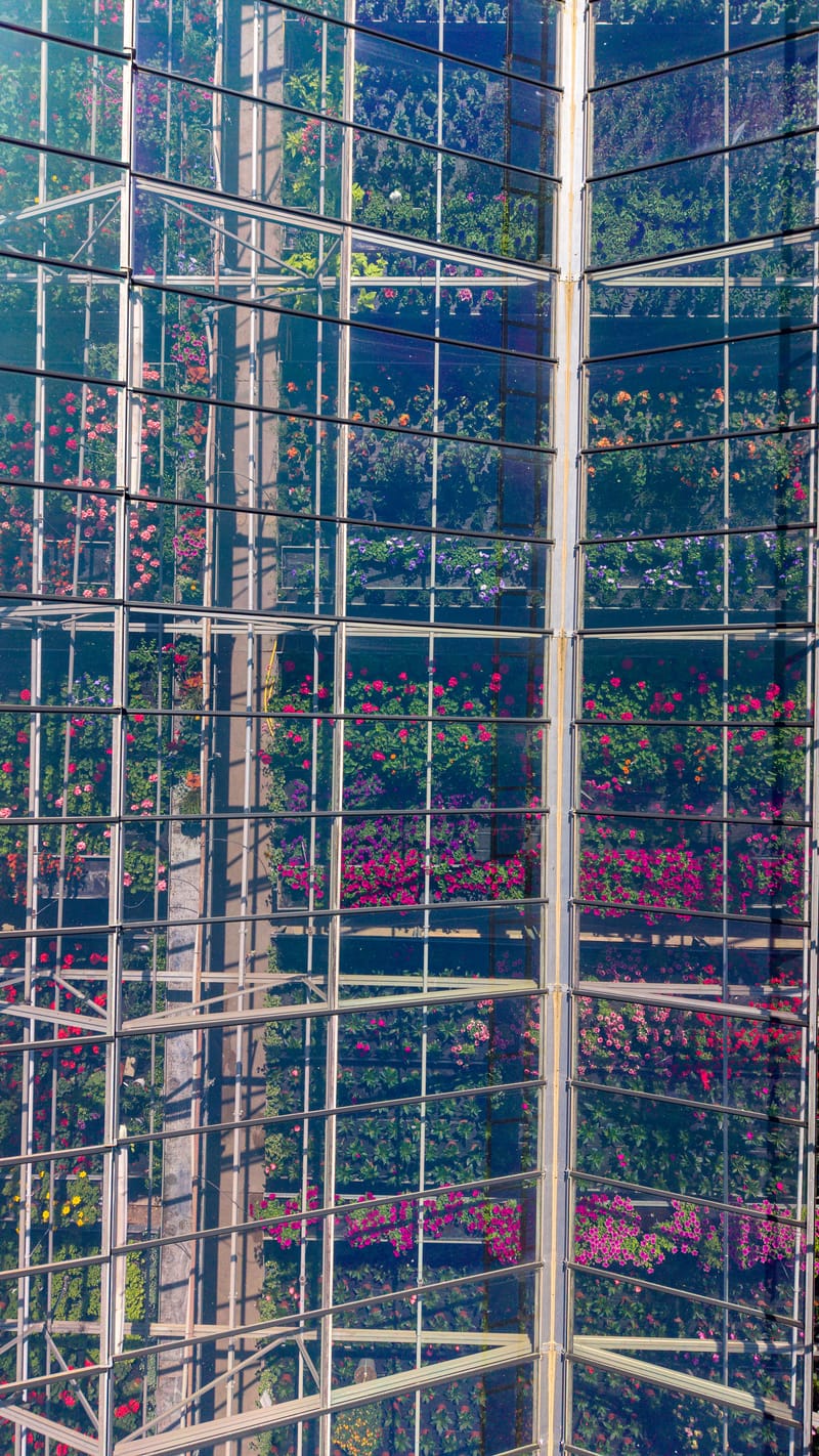 Der Betrieb an der Paradiesstrasse