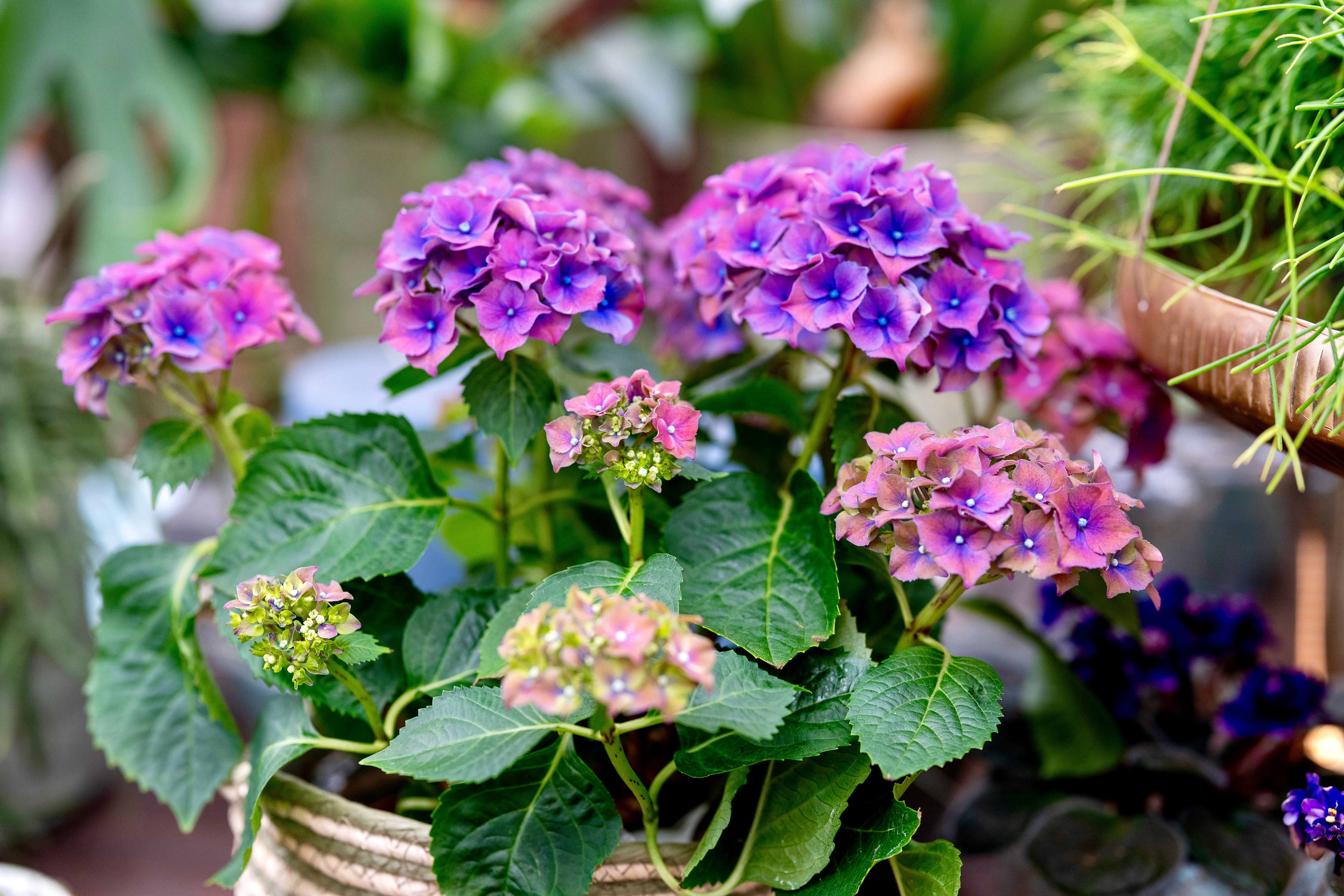 Aktuelle Bilder zum Saisonstart