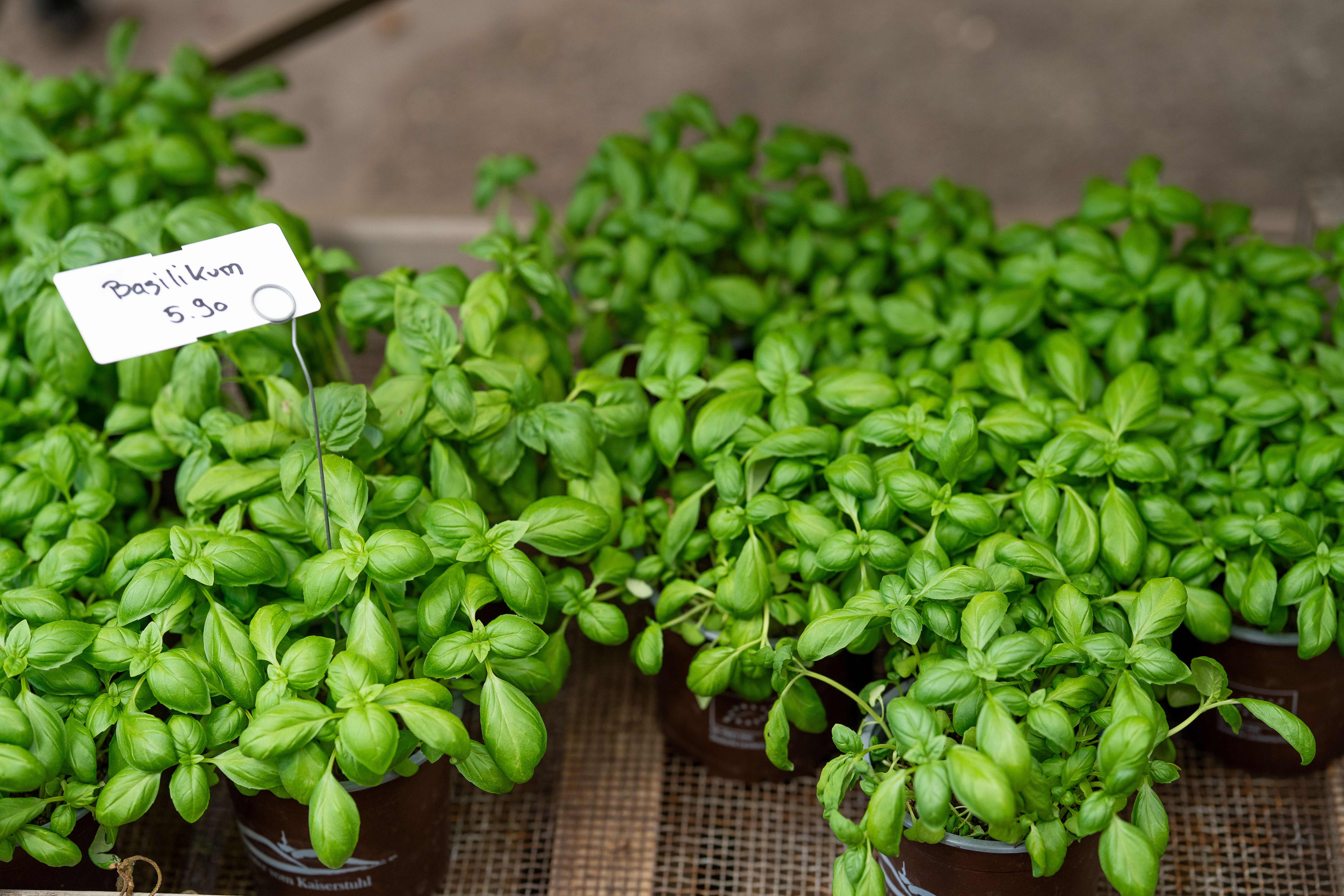 Aktuelle Bilder zum Saisonstart