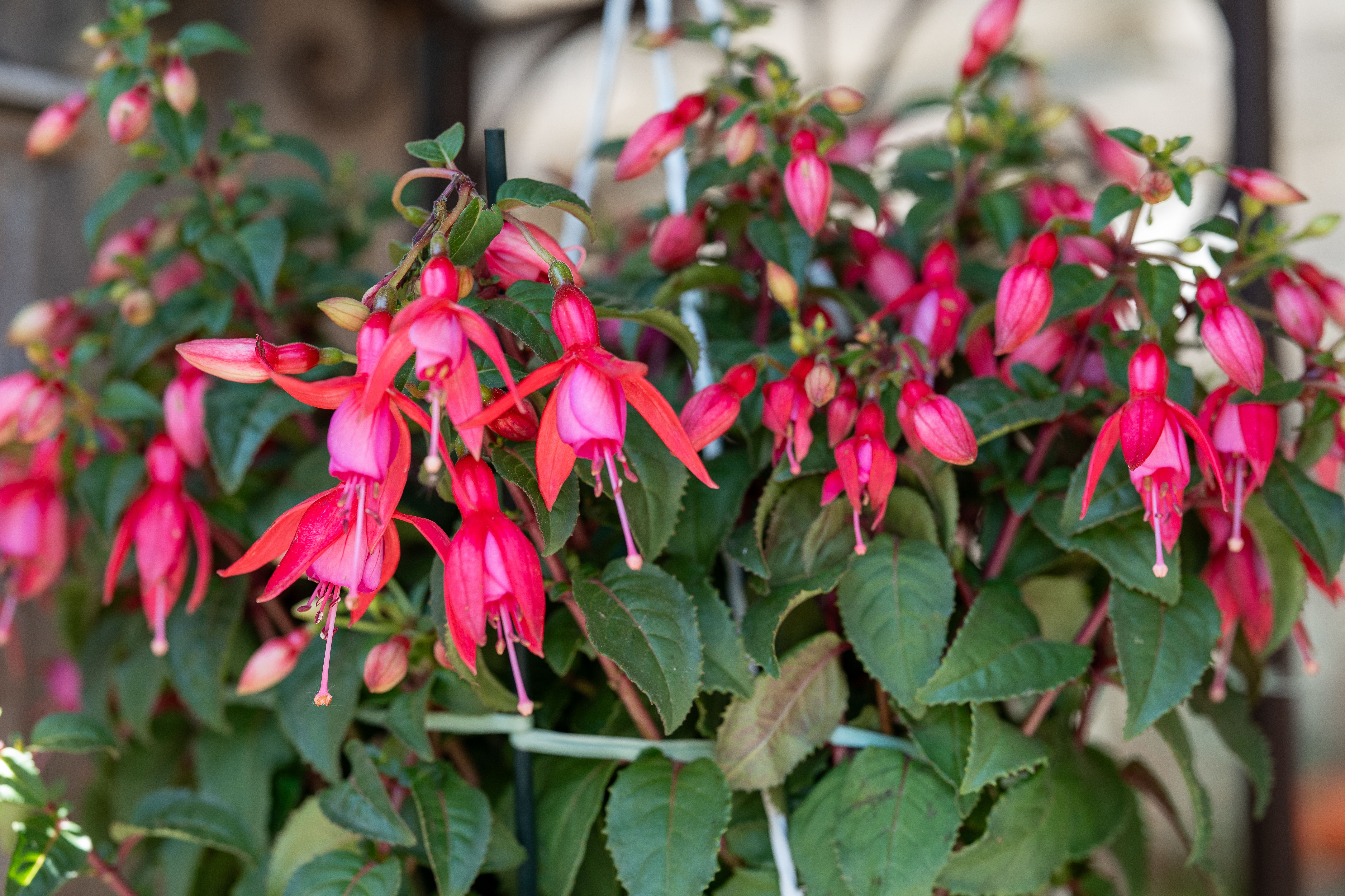 Aktuelle Bilder zum Saisonstart