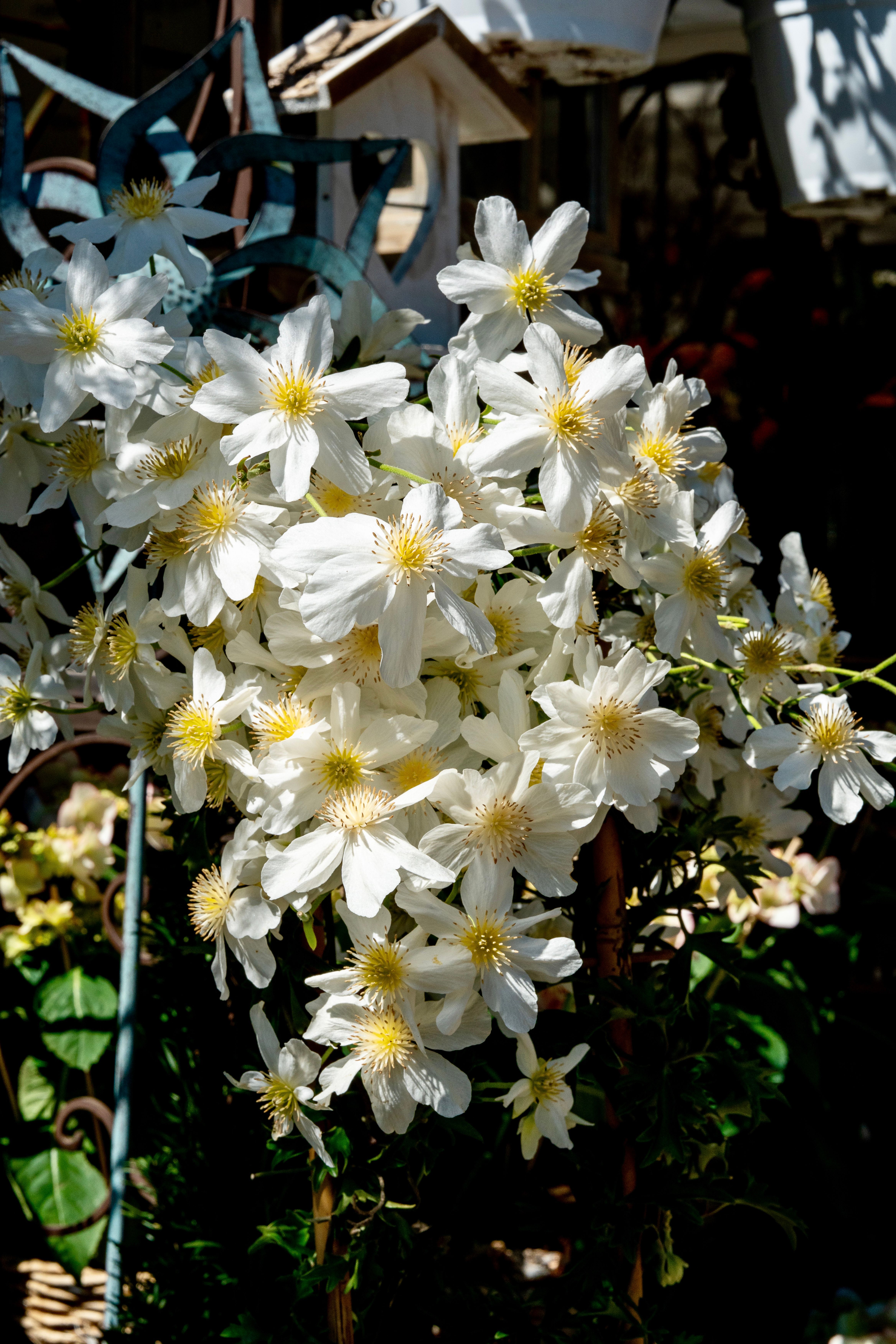 Aktuelle Bilder zum Saisonstart