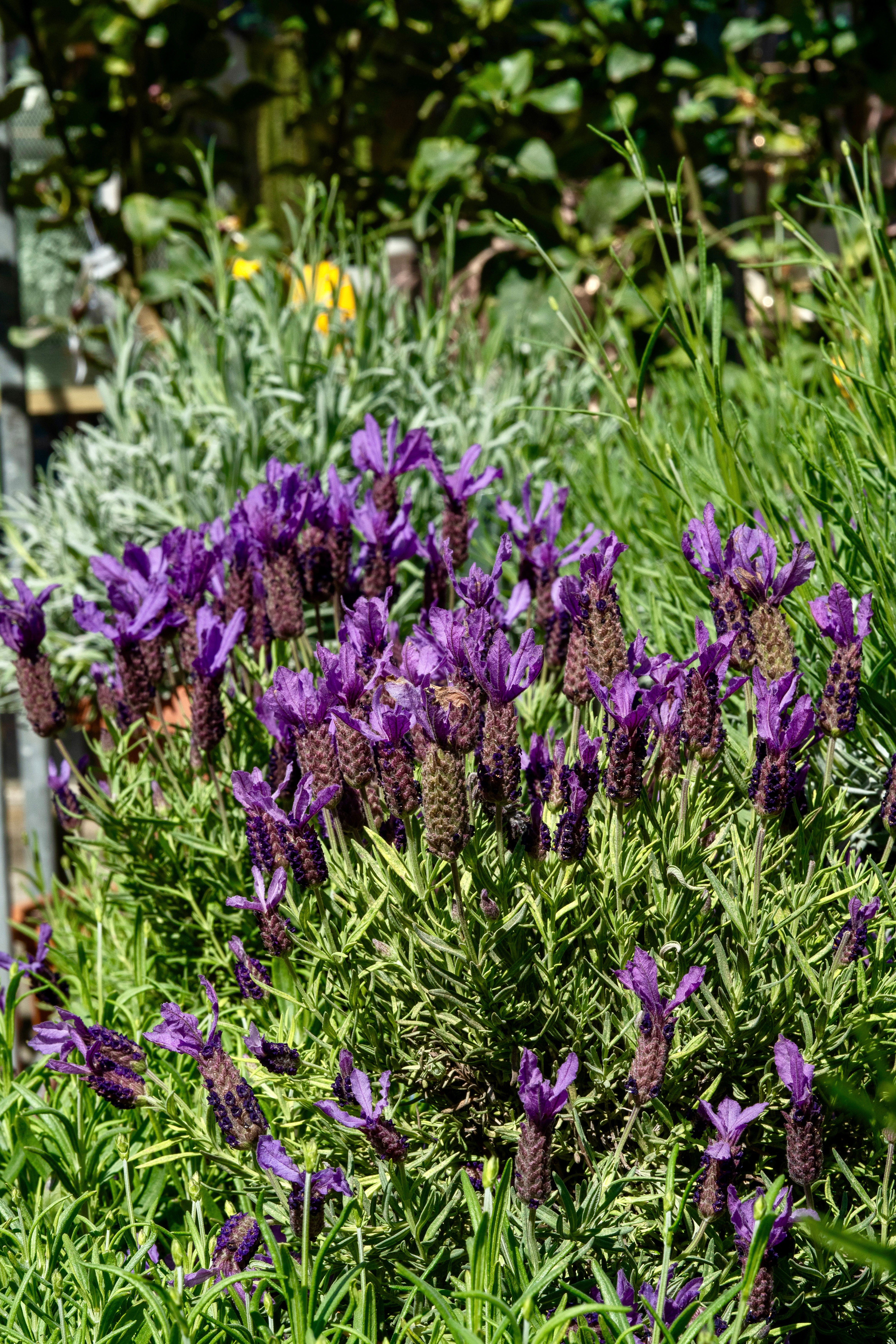 Aktuelle Bilder zum Saisonstart