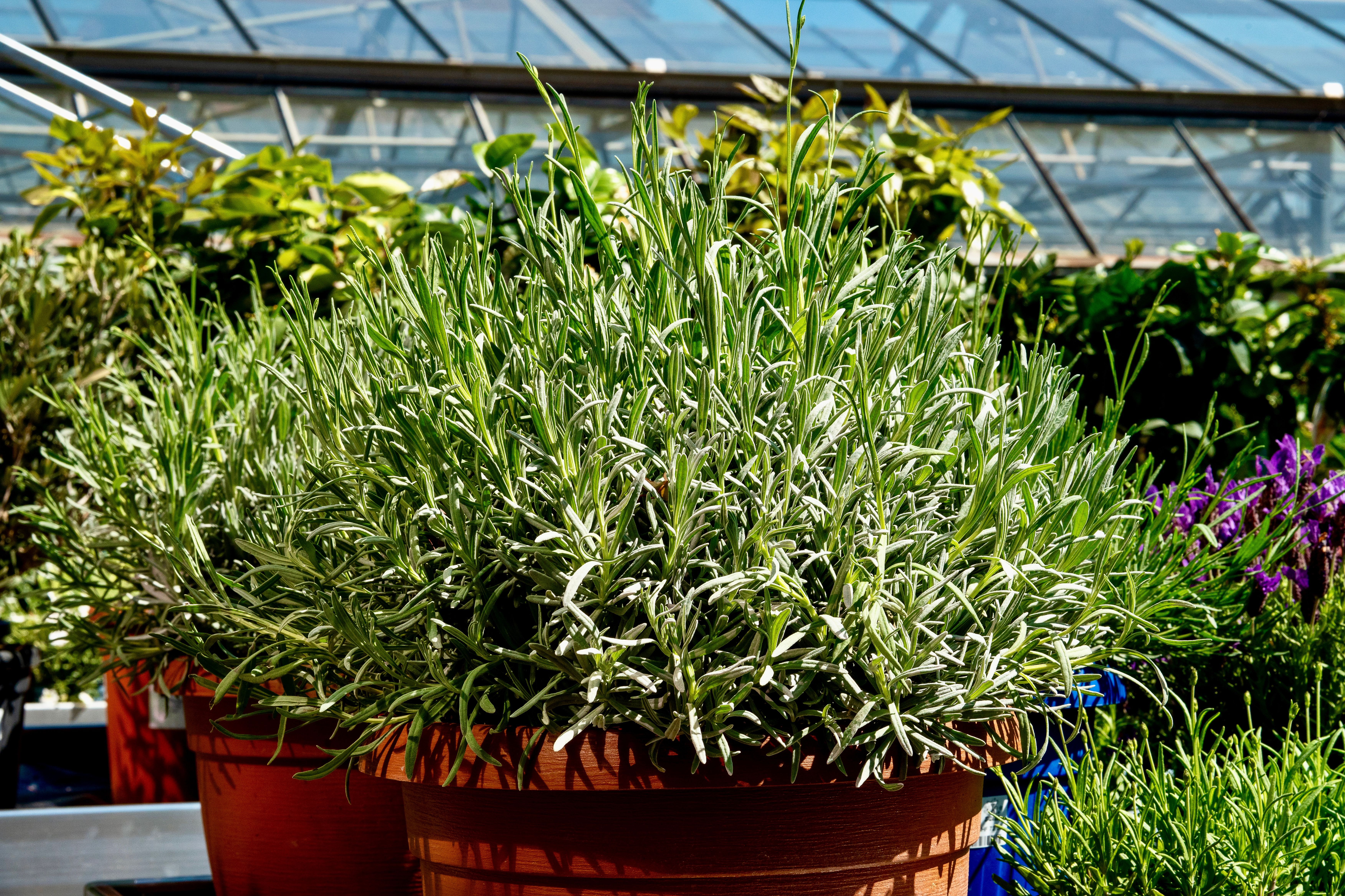 Aktuelle Bilder zum Saisonstart