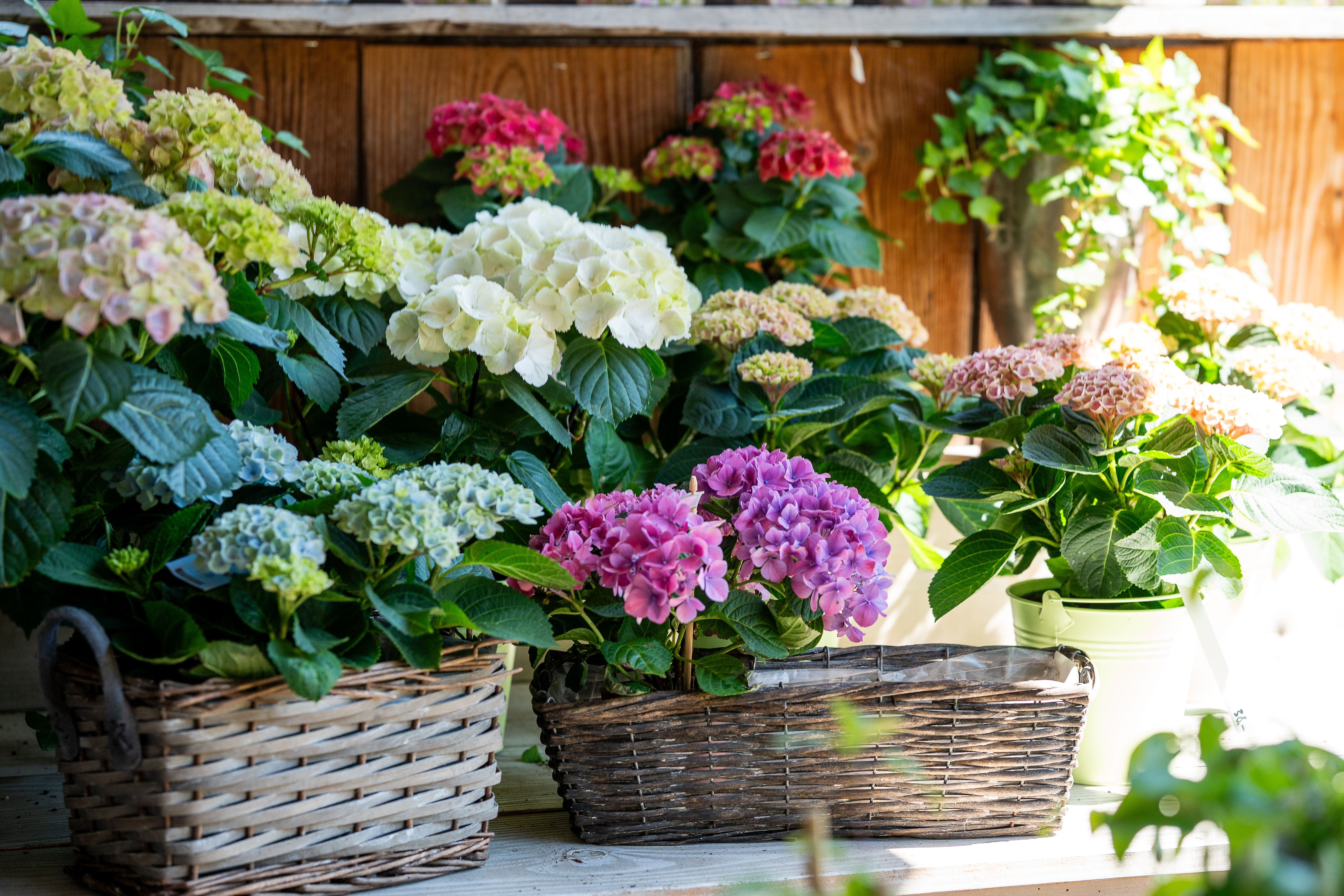 Aktuelle Bilder zum Saisonstart