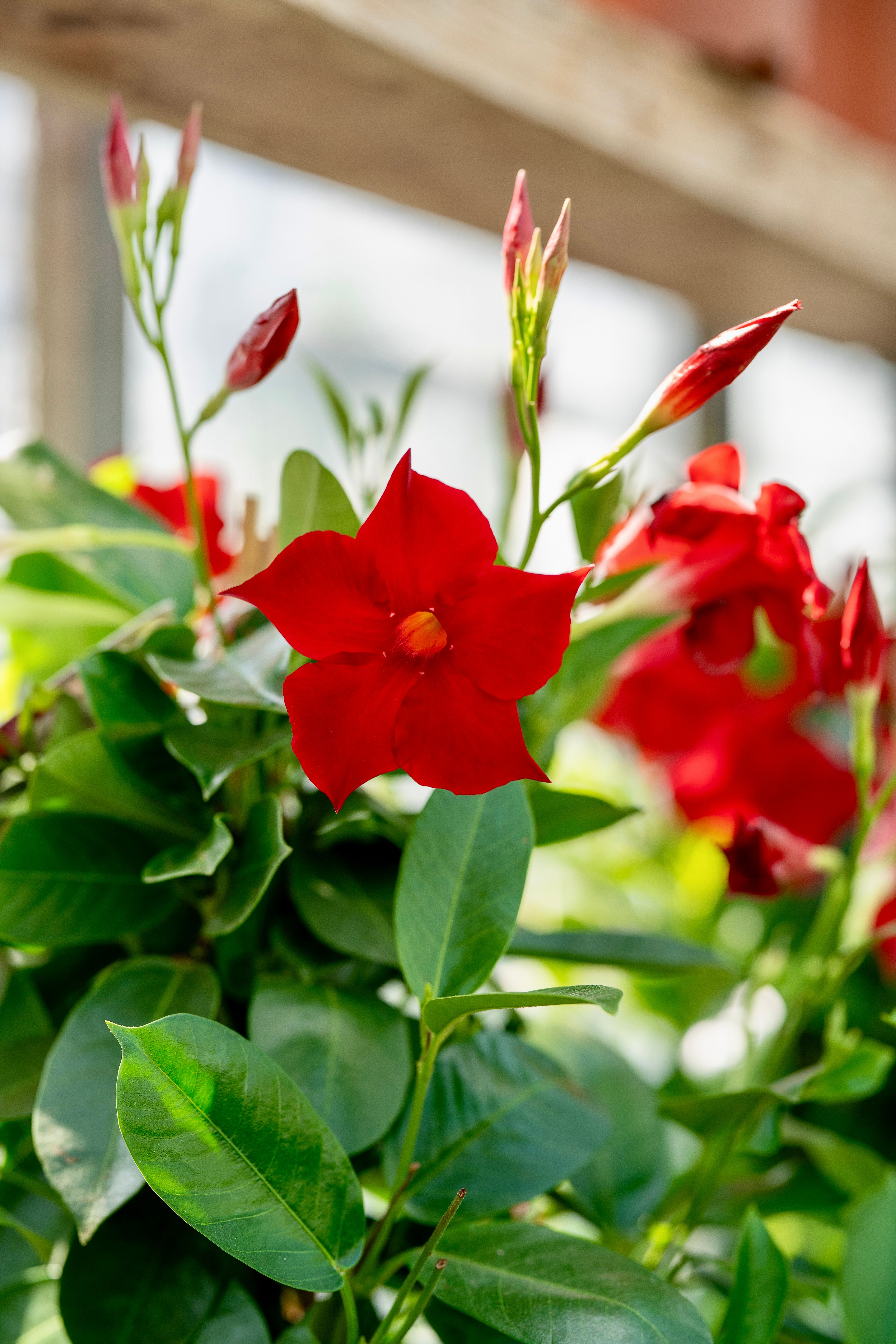 Aktuelle Bilder zum Saisonstart