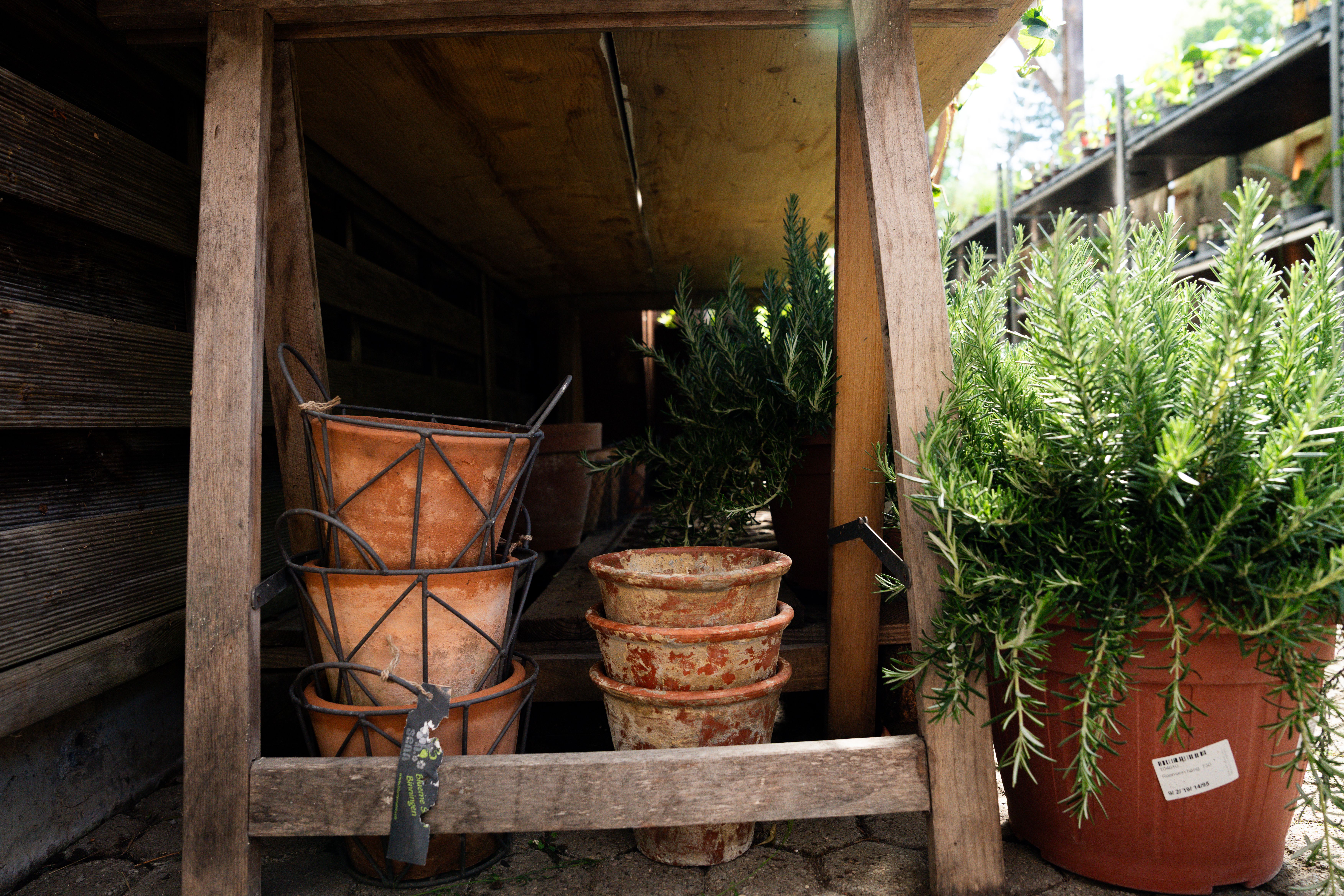 Aktuelle Bilder zum Saisonstart