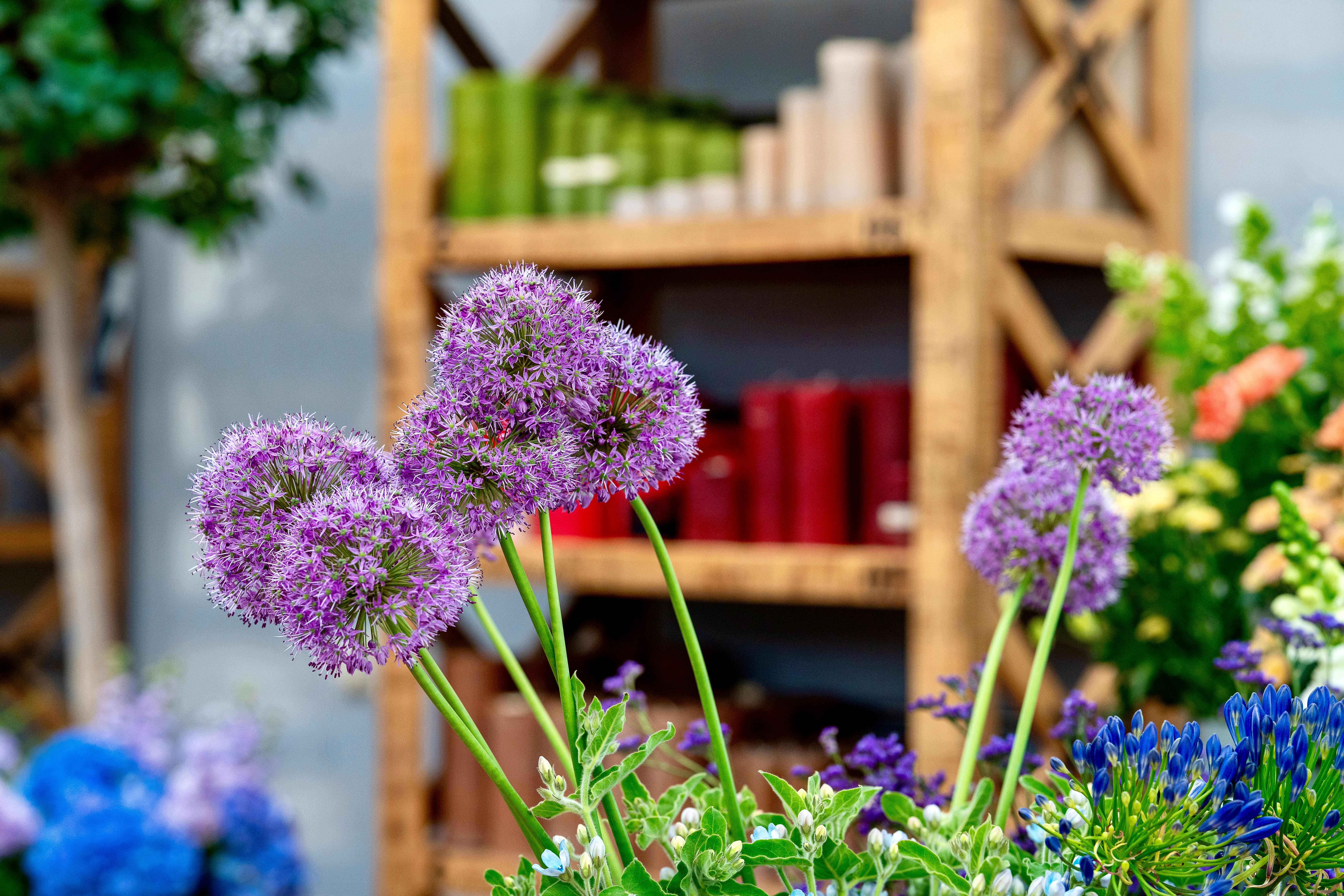 Bilder aus dem Laden an der Paradiesstrasse 