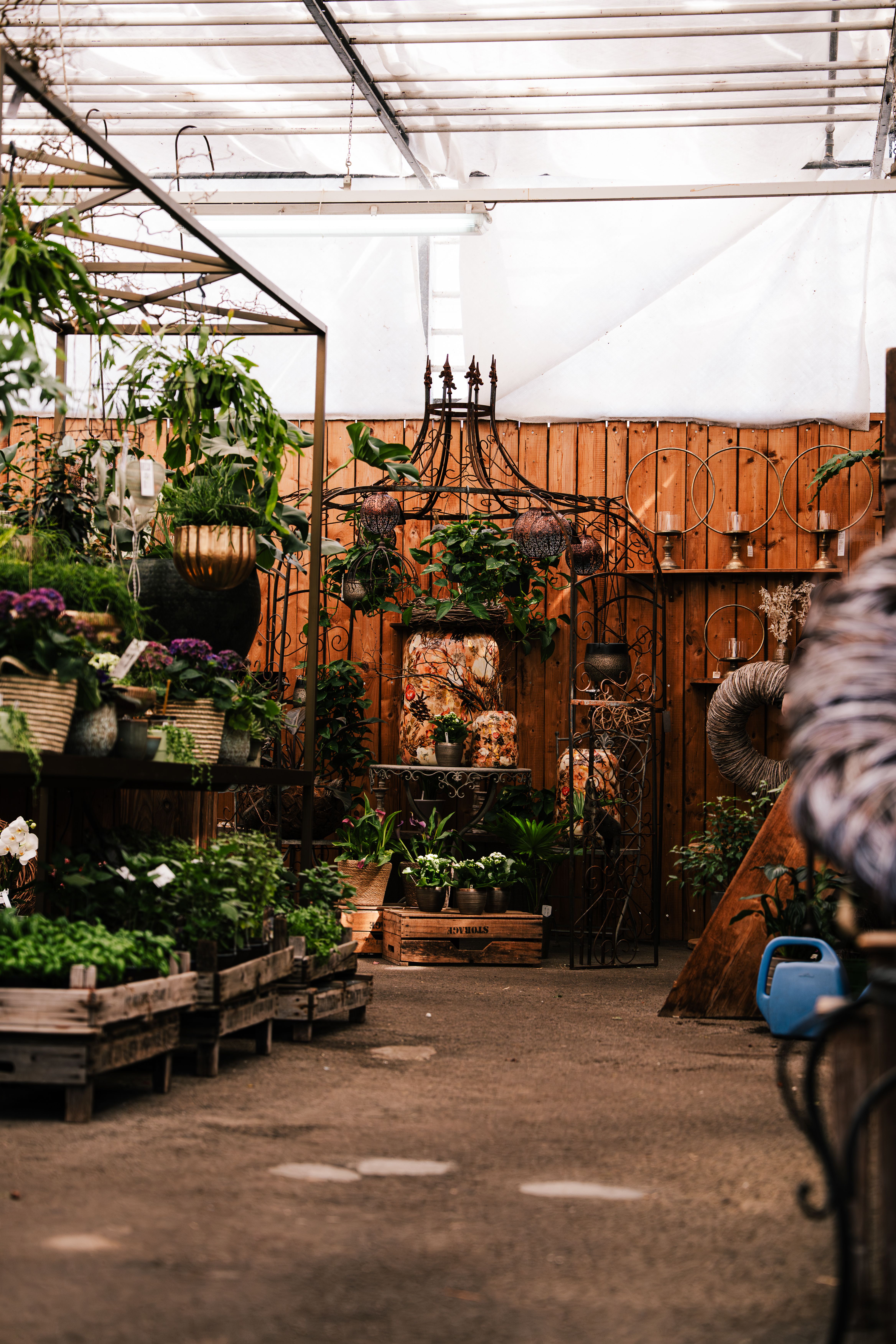 Bilder aus dem Laden an der Paradiesstrasse 