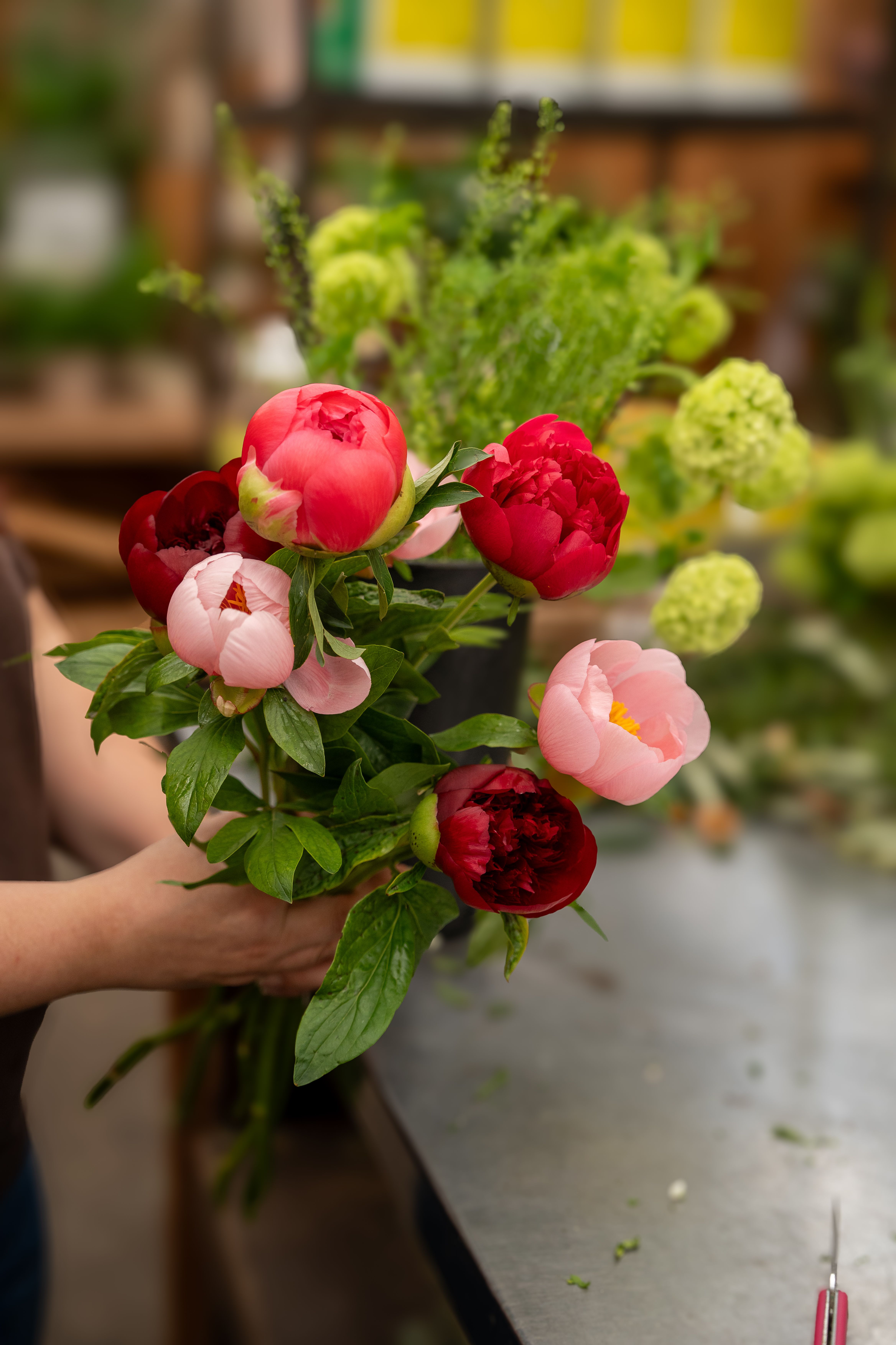 Bilder aus dem Laden an der Paradiesstrasse 