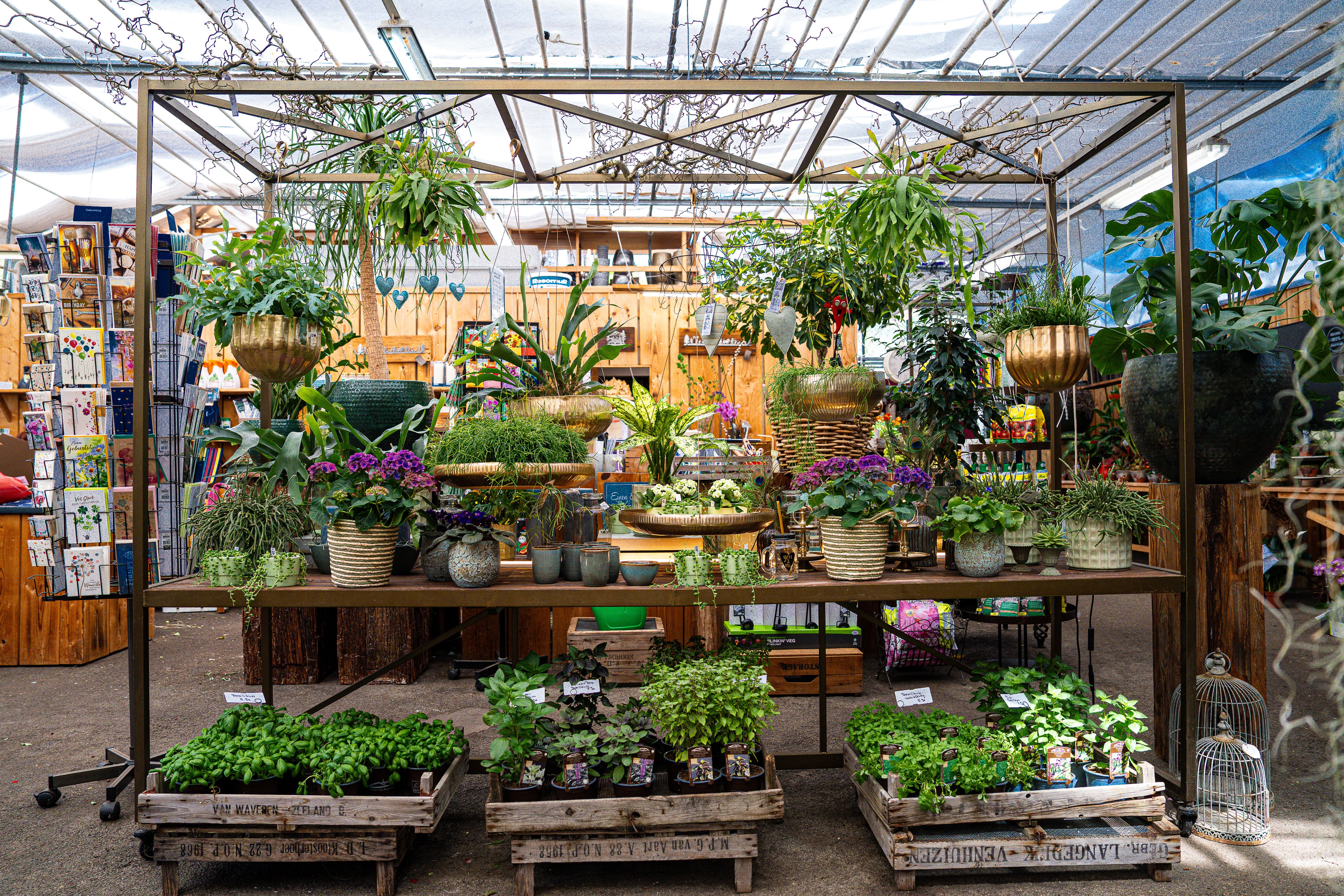 Bilder aus dem Laden an der Paradiesstrasse 