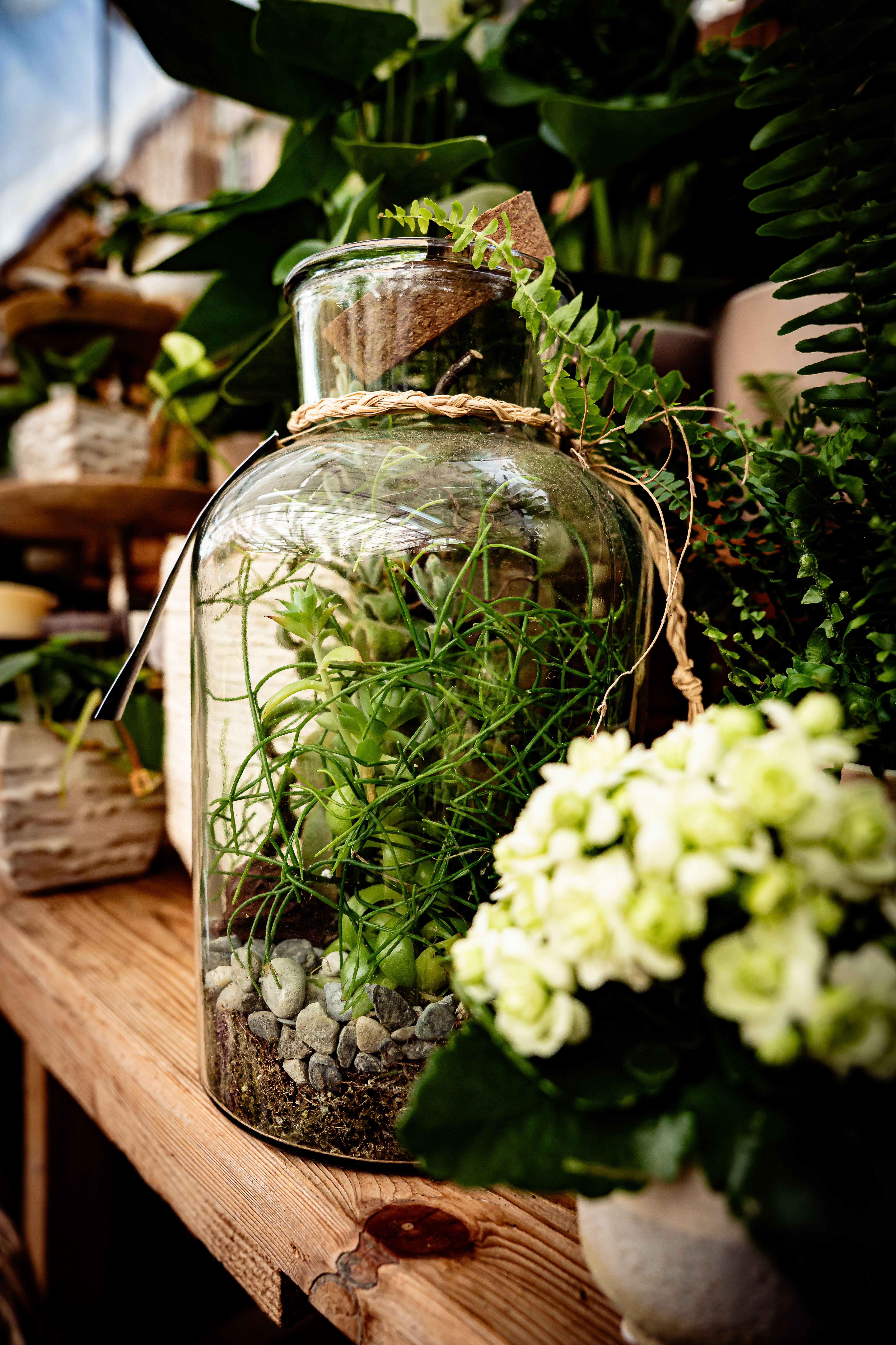 Bilder aus dem Laden an der Paradiesstrasse 