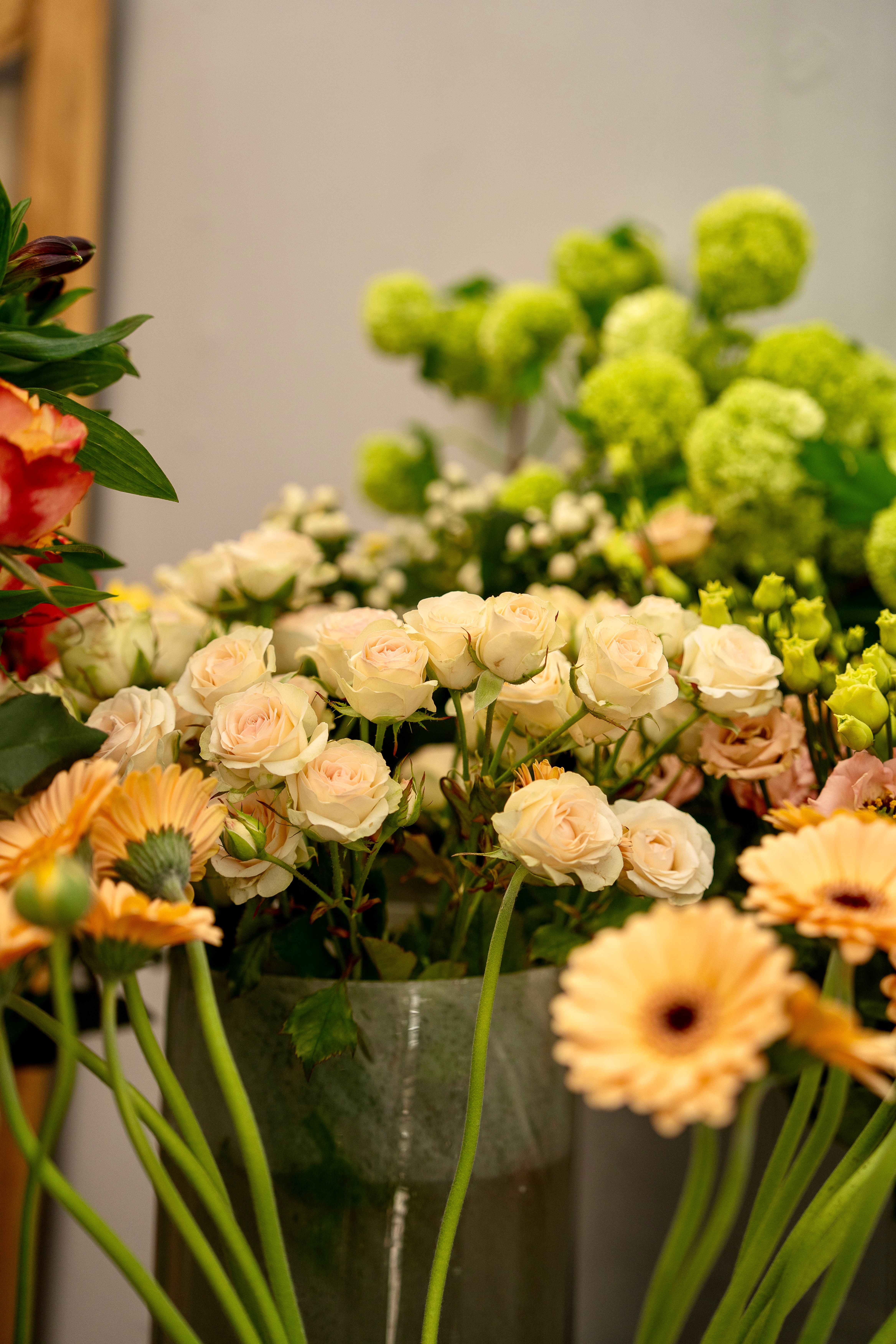 Bilder aus dem Laden an der Paradiesstrasse 