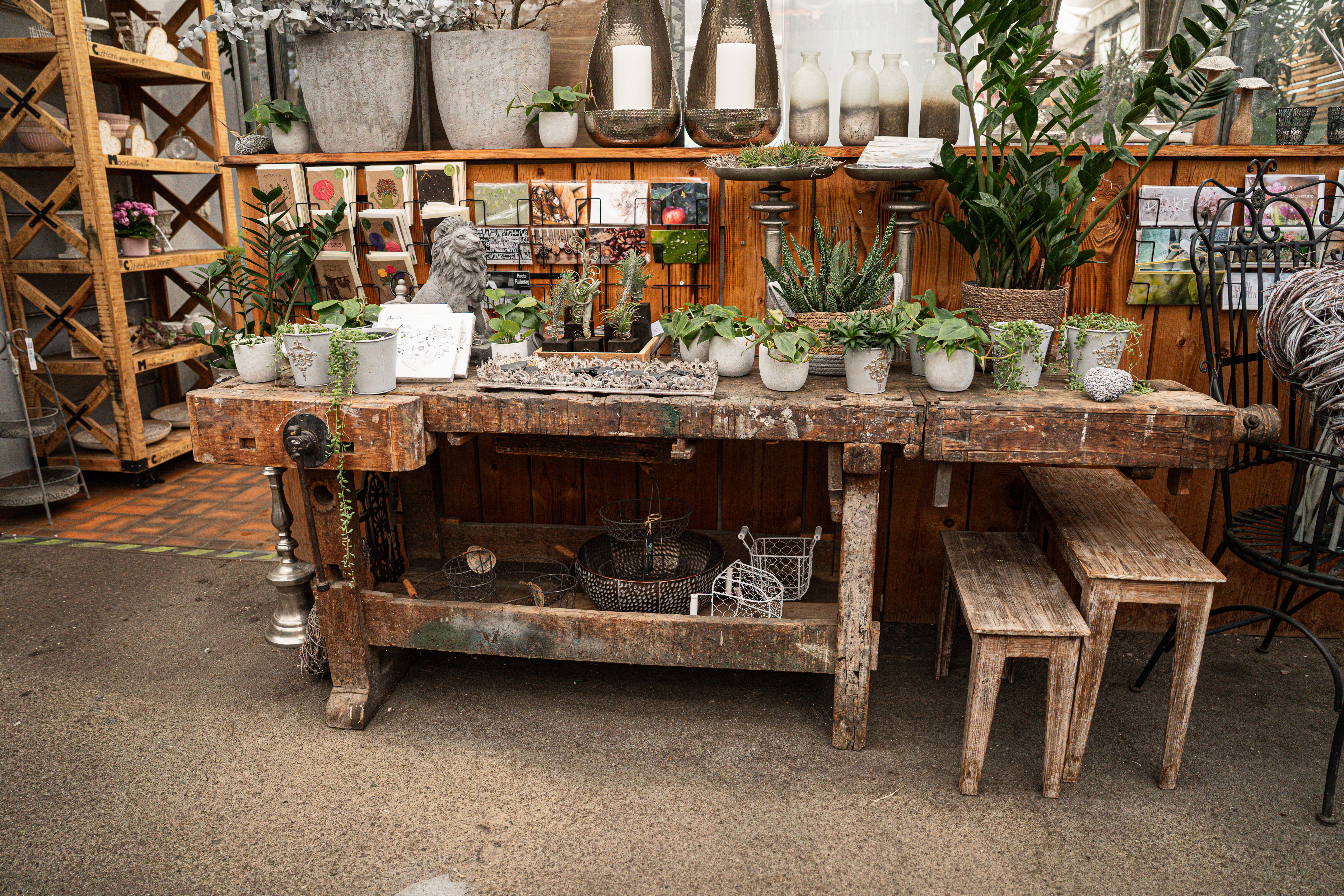 Bilder aus dem Laden an der Paradiesstrasse 