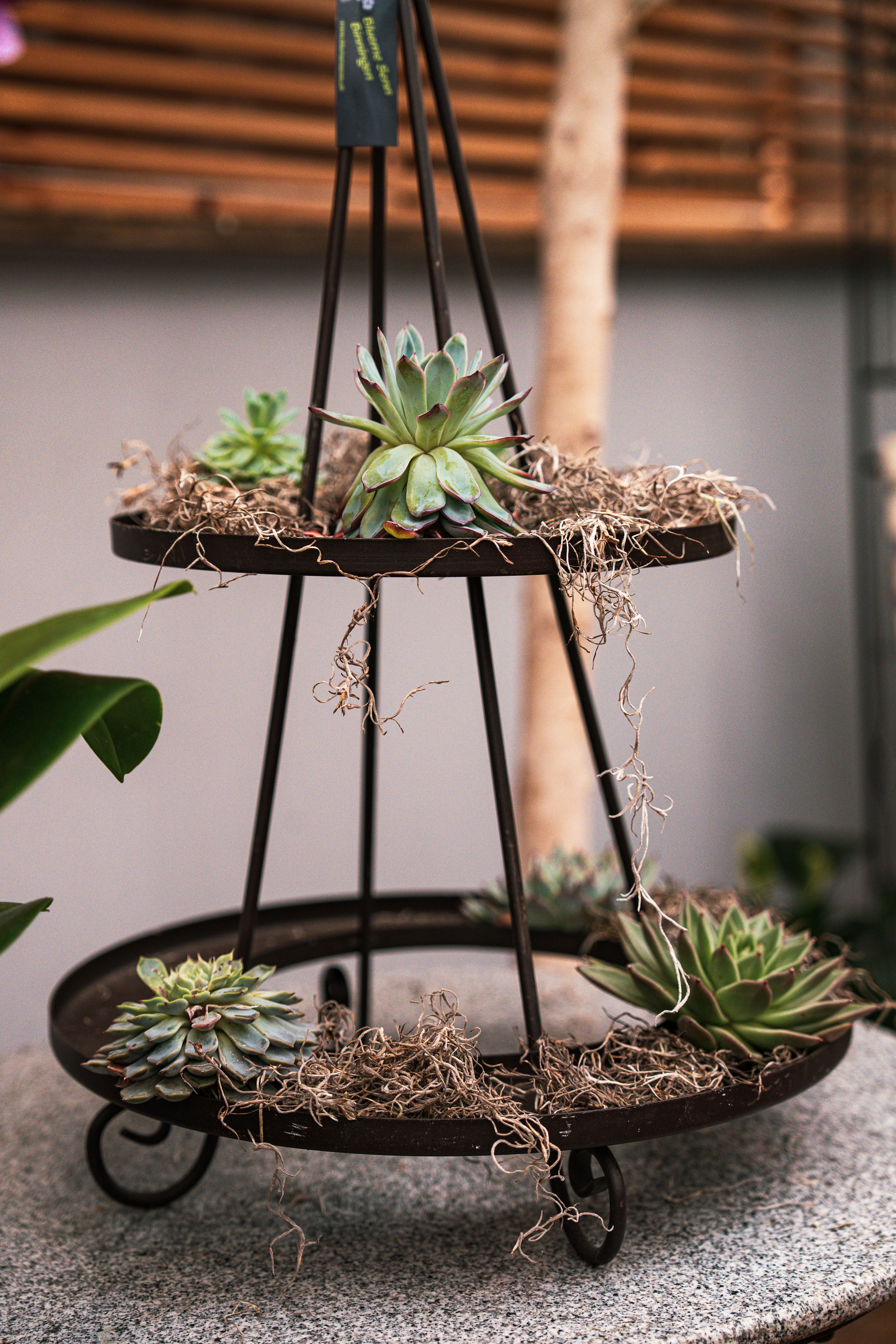 Bilder aus dem Laden an der Paradiesstrasse 