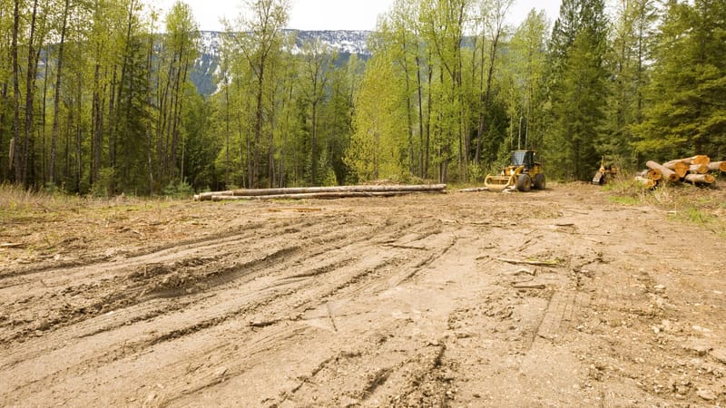 Transforming Landscapes with Swamp Gator ULM's Expert Services