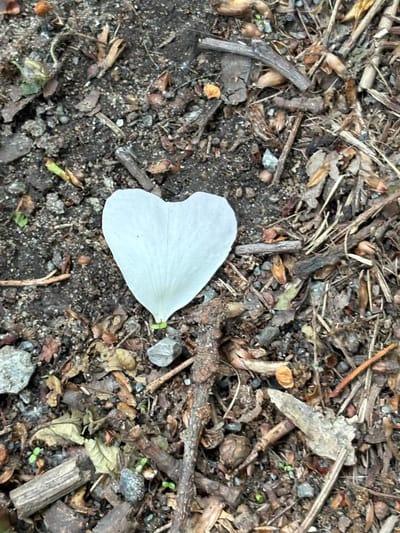 Love & Instincts at the Tomb