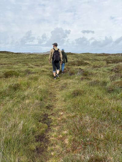 God's Presence in the Wilderness