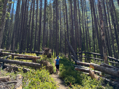 Prayer Around the Cross