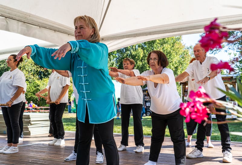 Trois styles : Ba Dua Jin des enfants, le petit bâton et les 12 mouvements du Tao