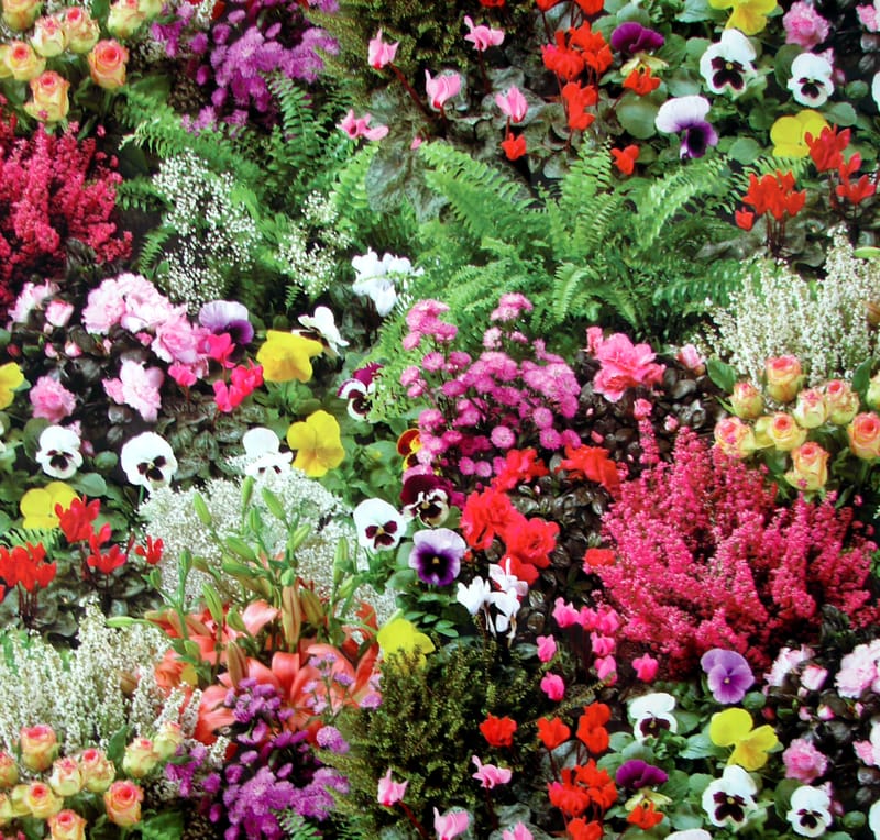 Mixed, csoportos kiállítás, Miss China Box, Párizs 2007