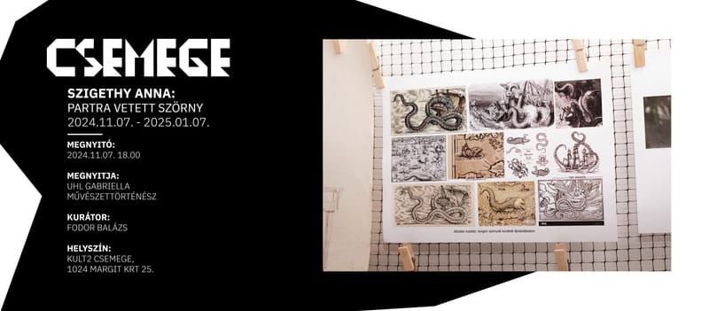 egyéni kiállítás