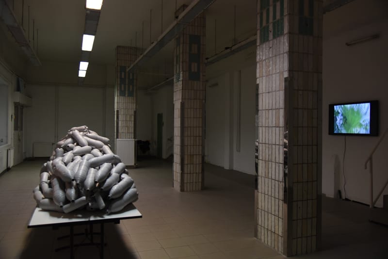 egyéni kiállítás