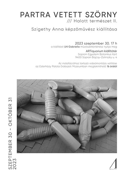 egyéni kiállítás