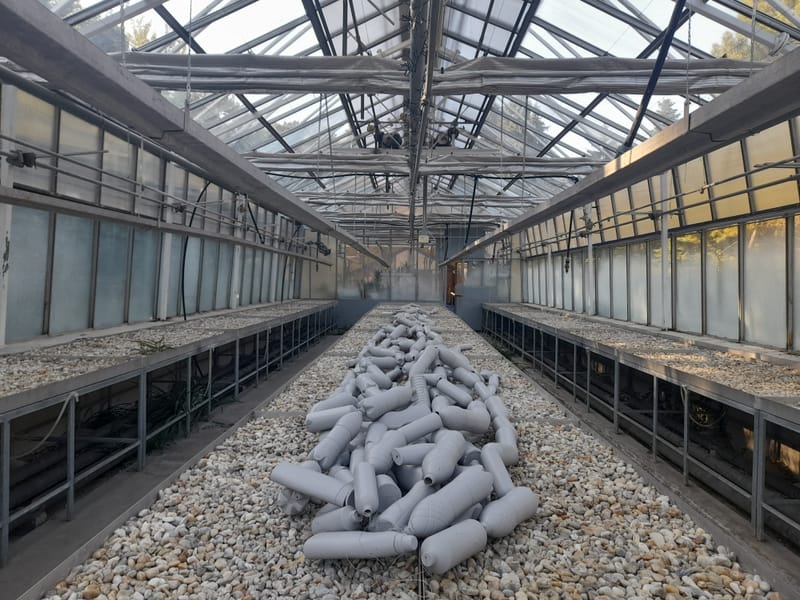 egyéni kiállítás