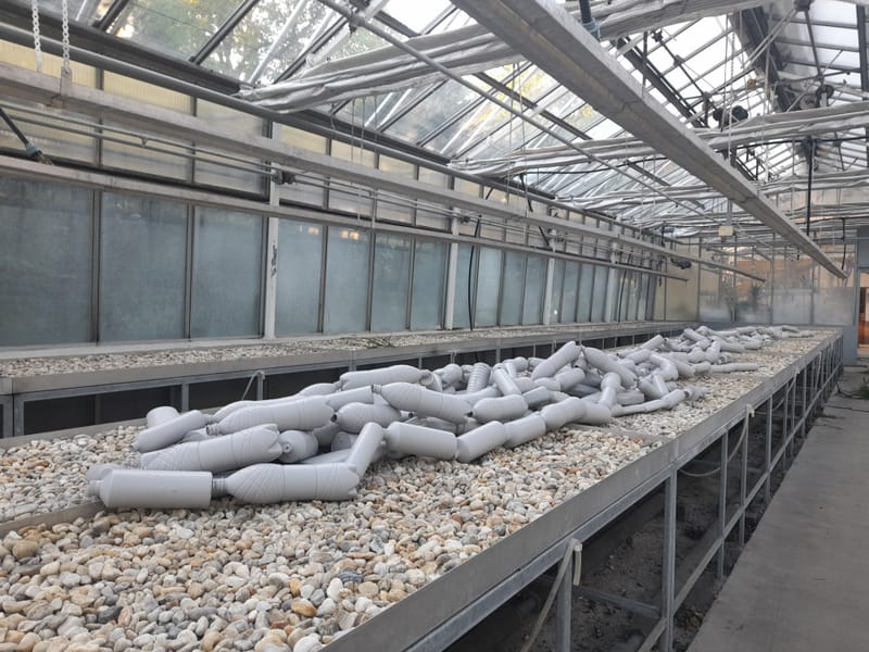 egyéni kiállítás