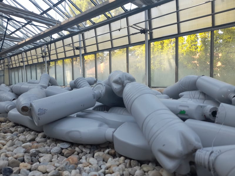 egyéni kiállítás