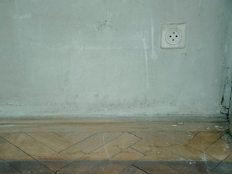 egyéni kiállítás