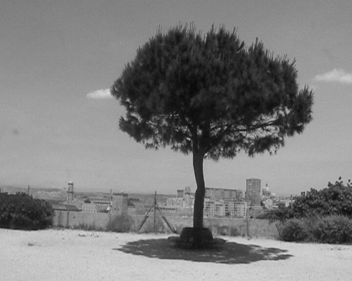 egyéni kiállítás