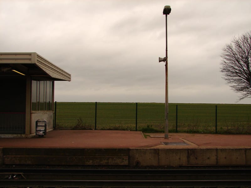 egyéni kiállítás