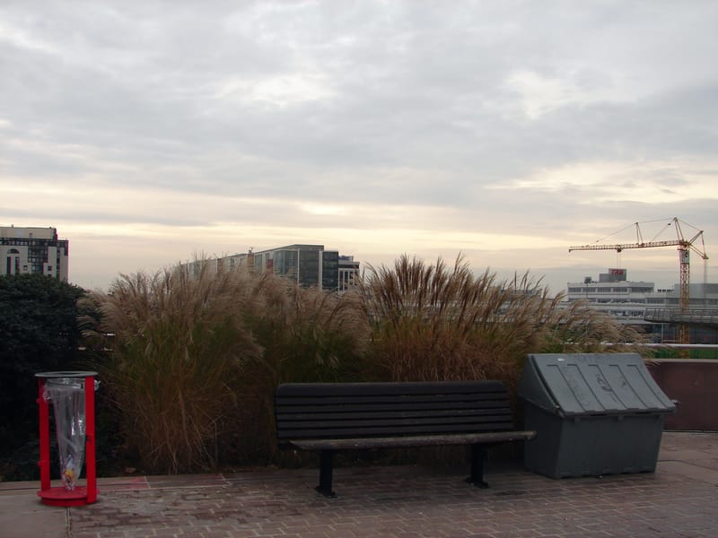 egyéni kiállítás