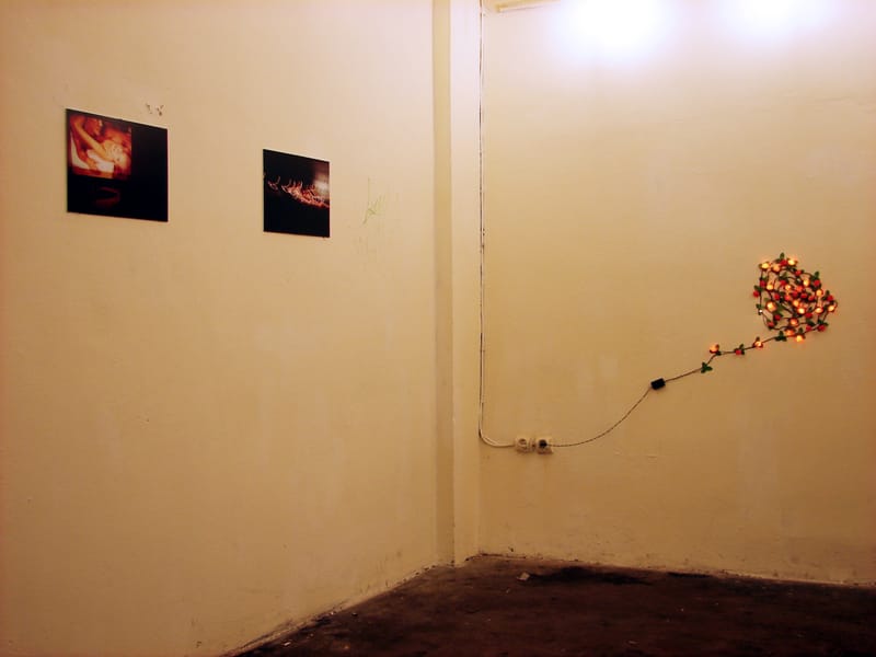 Journal intime – Napló, Lumen Galéria, Budapest 2006